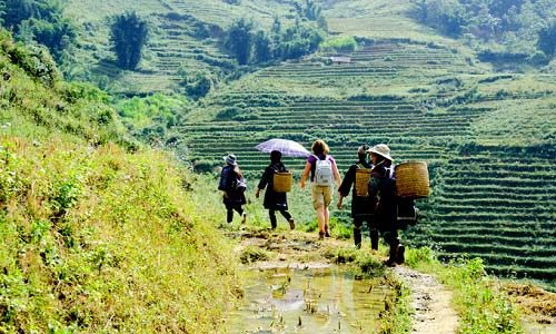 7-Day Northern Vietnam Tour: Hanoi - Halong Bay - Sapa Trekking