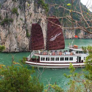 Bai Tu Long Bay 1 Day – Swan Day Cruise