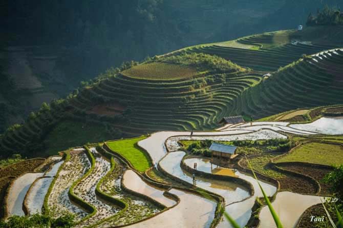 Mu Cang Chai, Vietnam’s emerald mountain gem named among world’s most beautiful
