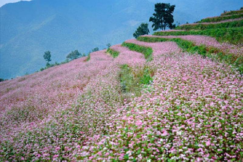 Ha Giang - Dong Van Geopark 3 days 2 nights