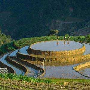 When rice fields sparkle in Vietnam’s northern highlands – Mu Cang Chai