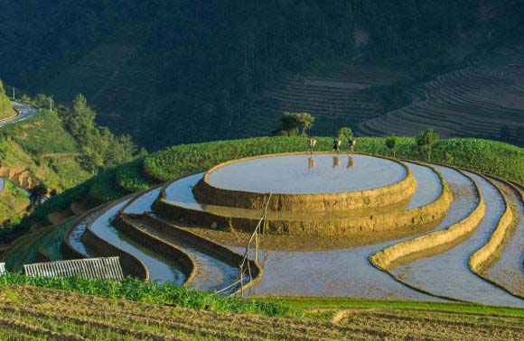 When rice fields sparkle in Vietnam’s northern highlands – Mu Cang Chai