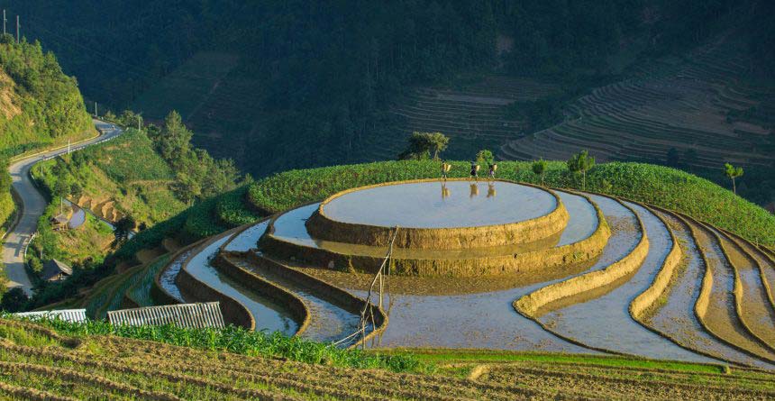 When rice fields sparkle in Vietnam’s northern highlands – Mu Cang Chai