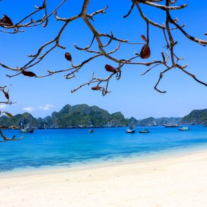 A soothing 3-day holiday on Cat Ba Island
