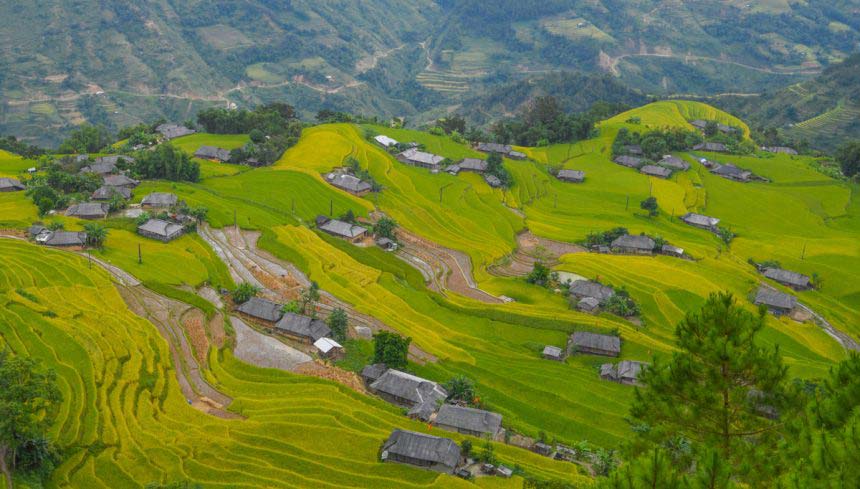 Yet another northern highlands district emits a golden glow – Hoang Su Phi