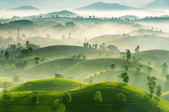 Stuff of dreams: stunning vistas of Long Coc tea hills