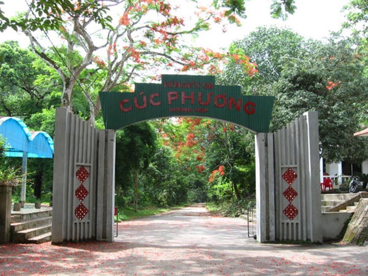 Bai Dinh - Trang An - Cuc Phuong National Park 2 days 1 night