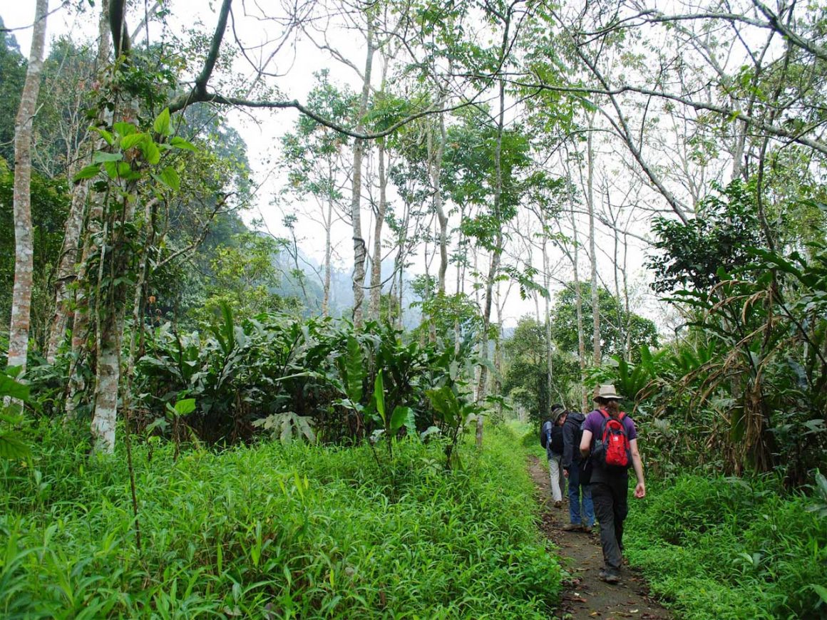 cuc phuong national park