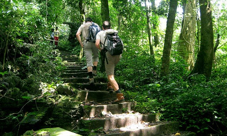 Bai Dinh - Trang An - Cuc Phuong National Park 2 days 1 night