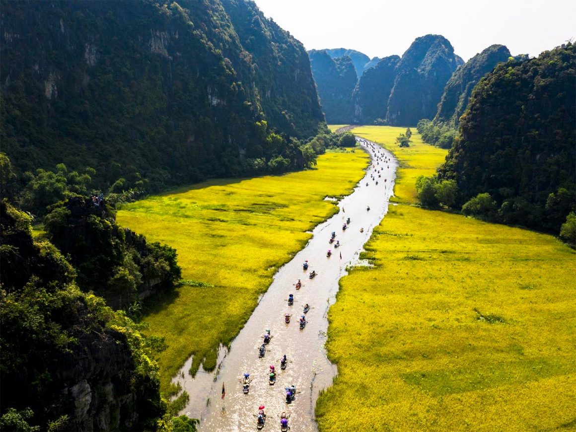 tam coc rice field