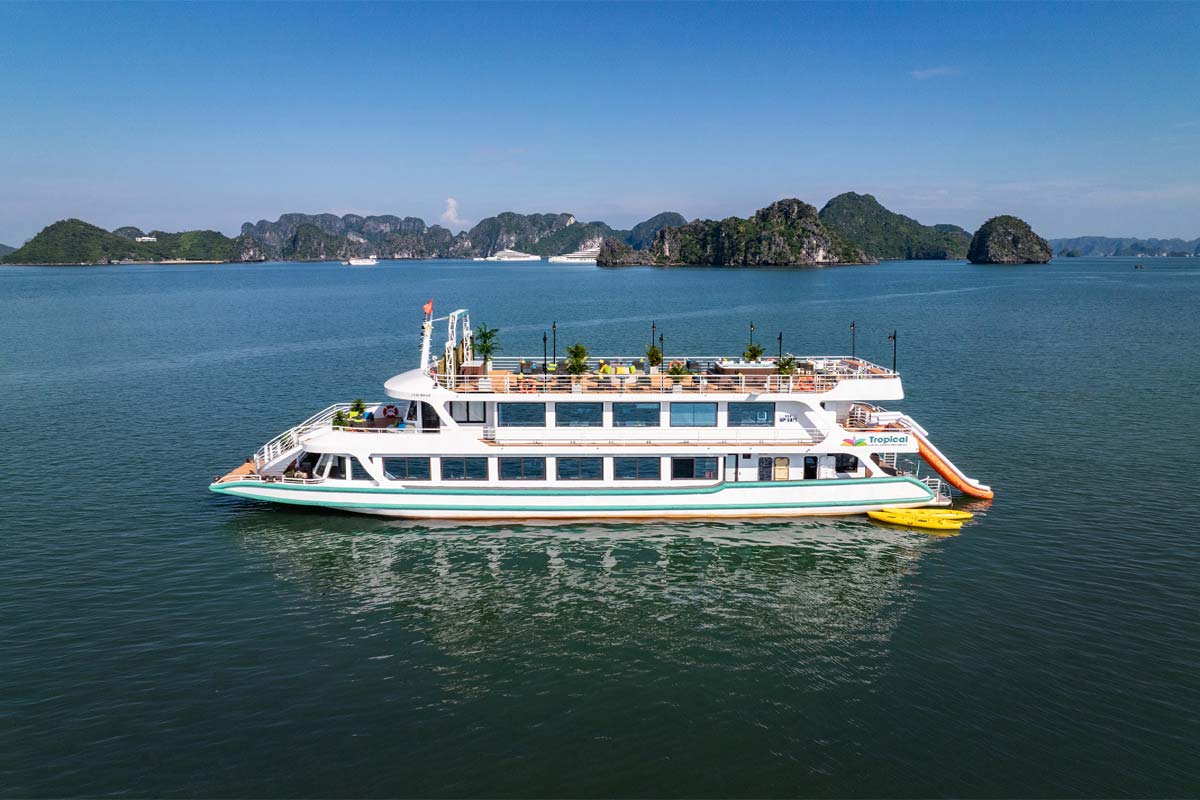 Modern cruise sailing through Lan Ha Bay 1 day tour