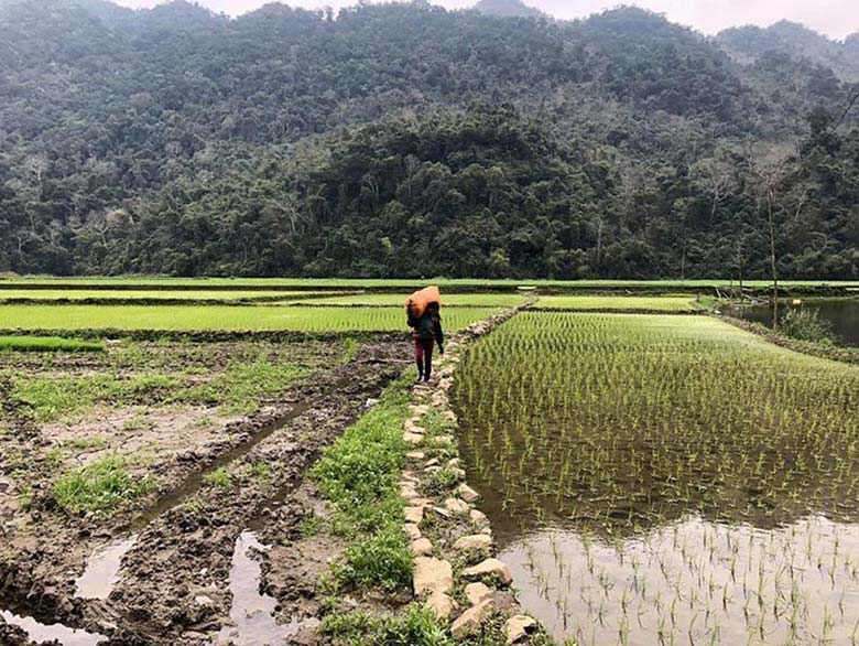 7-Day Trekking North East Vietnam: Ba Be Lake - Ban Gioc Waterfall - Ha Giang