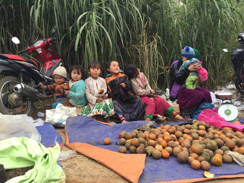 7-Day Trekking North East Vietnam: Ba Be Lake - Ban Gioc Waterfall - Ha Giang