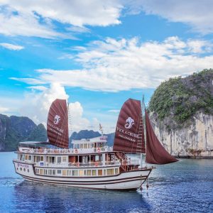 Viola Cruise – Bai Tu Long Bay Cruise