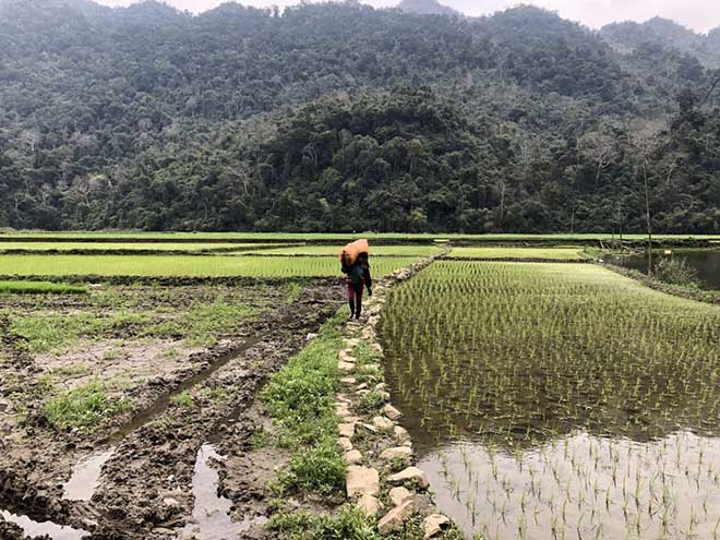 Ha Giang Ba Be Lake Tour 7D6N