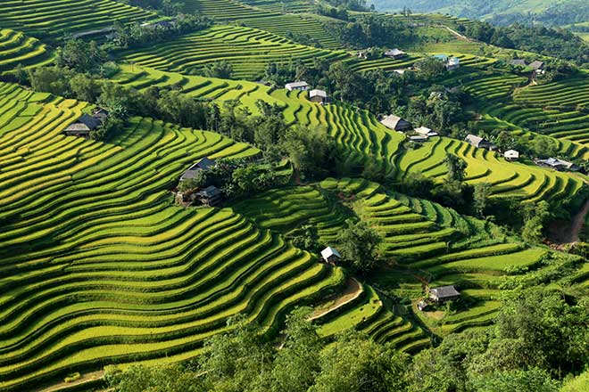 hoang-su-phi-trekking-tour - Old Quarter Travel | Hanoi Travel Agency ...