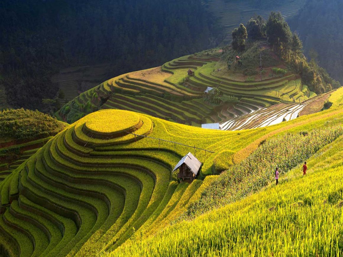 Mu Cang Chai Trekking Tour 3 Days 2 Nights