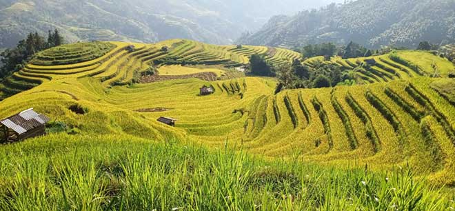 Hoang Su Phi Trekking Tour 3 days 2 nights