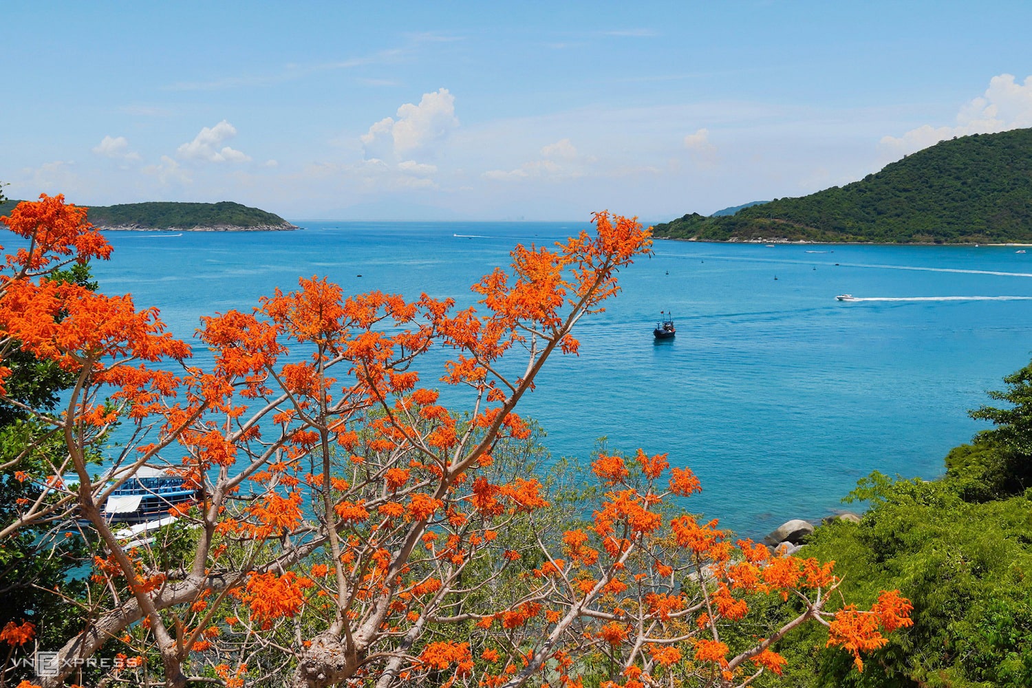 Cham Islands is only accessible by speedboats from Hoi An