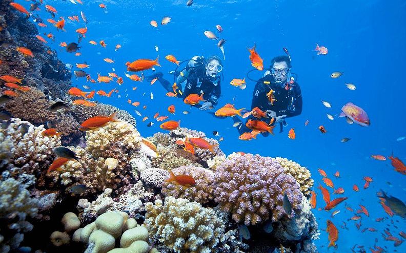 Cham Island Sightseeing And Snorkeling Tour