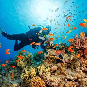 Four best diving spots in Vietnam
