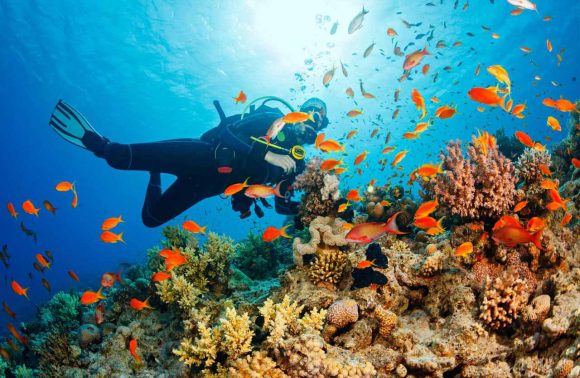 Four best diving spots in Vietnam