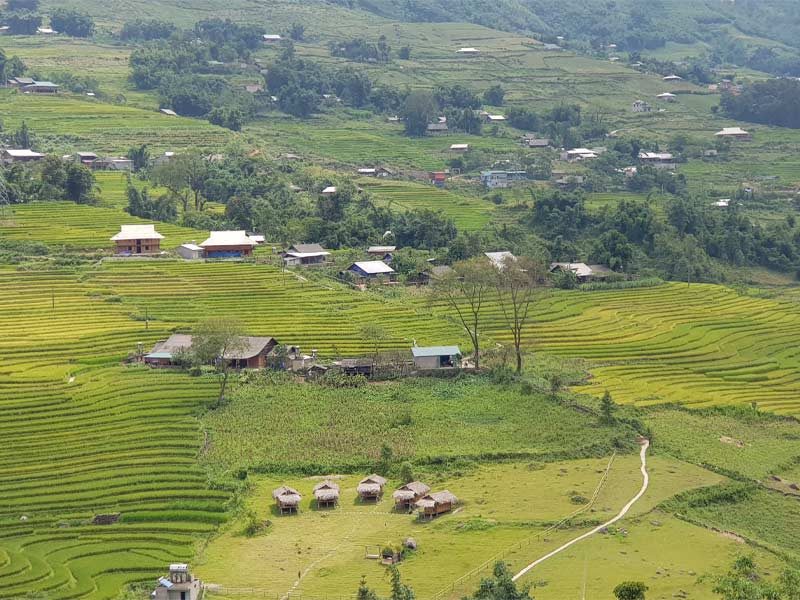 Sapa Tour from Hanoi: What to Expect & How to Plan