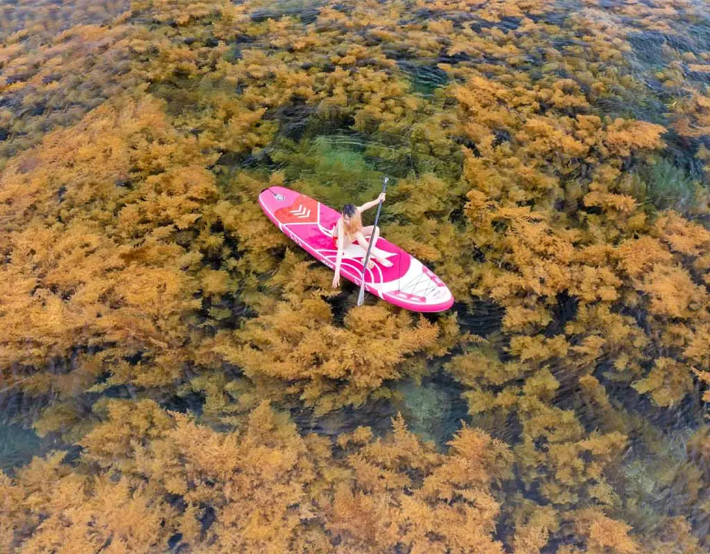 SUP paddleboarding in crystal-clear water at Hon Kho Island