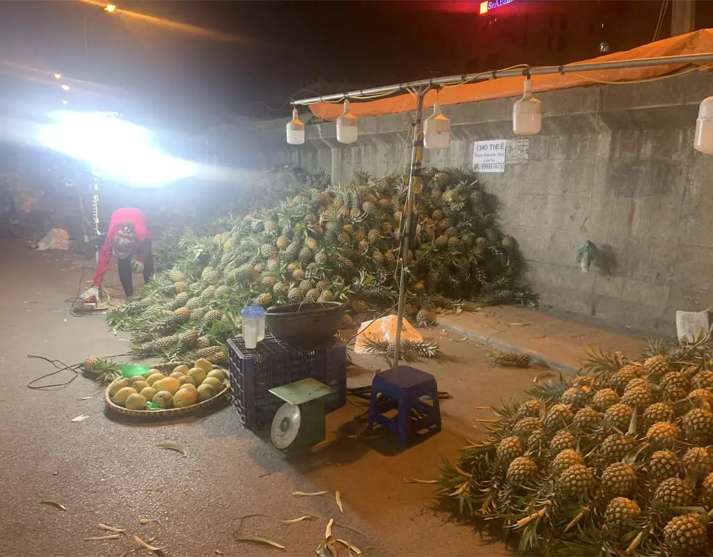Long Bien Market in Hanoi during the early morning wholesale trading hours