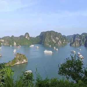 7-Day Luxury Vietnam Tour – Hanoi, Ninh Binh, Halong Bay, Da Nang & Hoi An 7-Day Luxury Vietnam Tour – Hanoi, Ninh Binh, Halong Bay, Da Nang & Hoi An