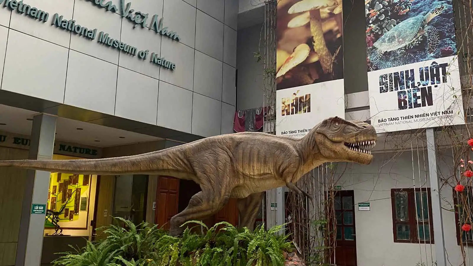 Vietnam Museum of Nature in Hanoi showcasing fossils, dinosaurs, biodiversity and Vietnam's natural history