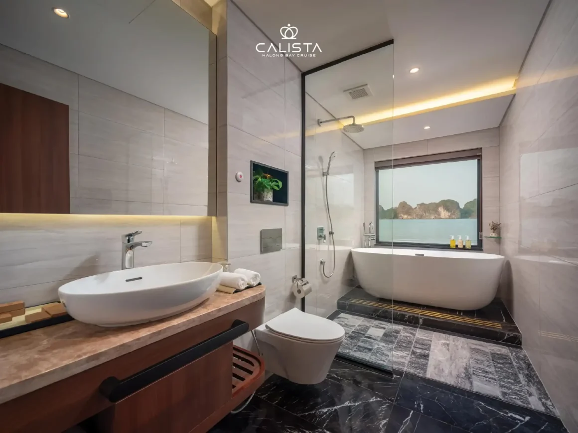 Calista Cruise Cabin Bathroom Calista Cruise cabin bathroom
