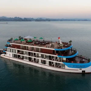 Cycad Cruise Bai Tu Long Bay – 2D1N & 3D2N